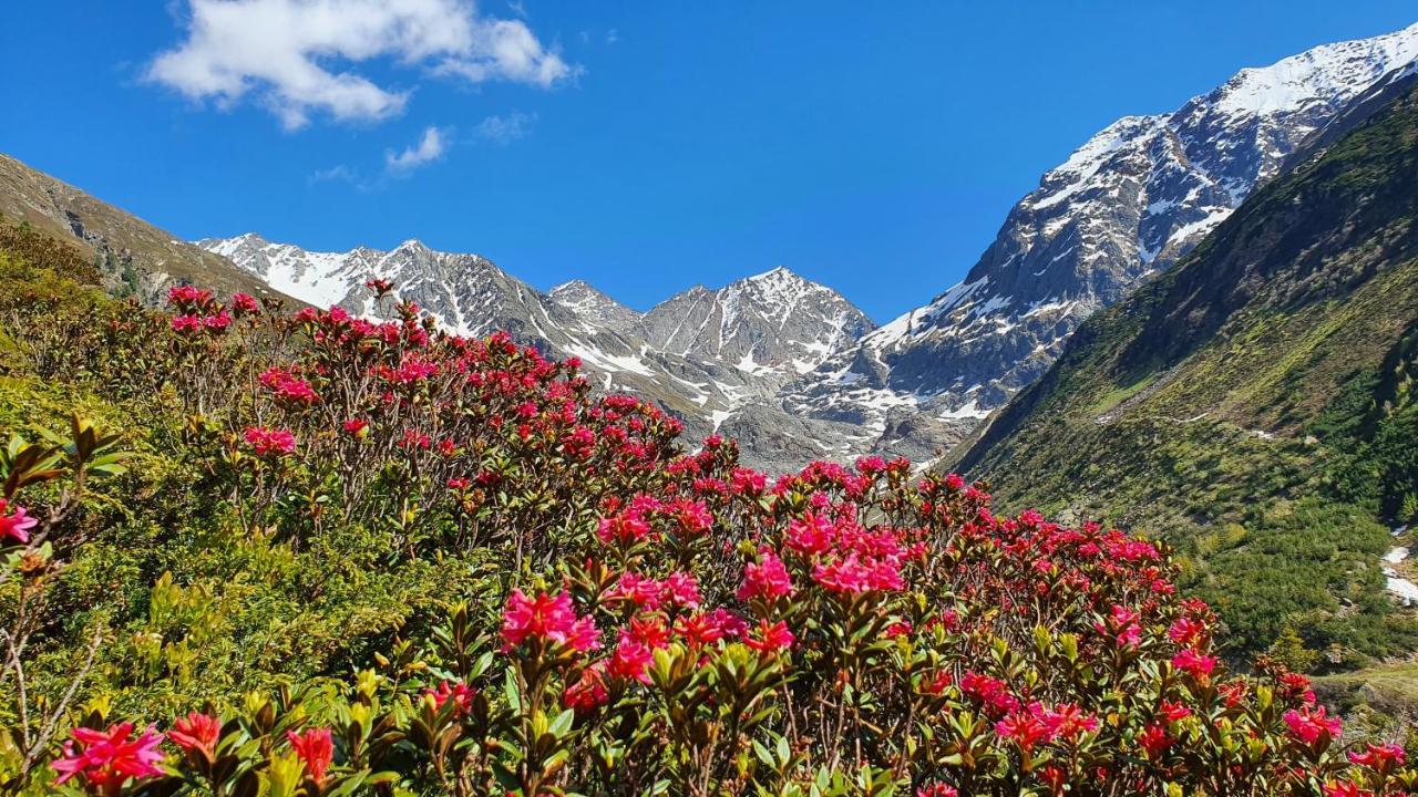 Gasthof Pension Santeler Sankt Leonhard im Pitztal Exteriör bild